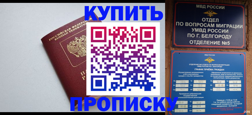 прописка регистрация в Тейково